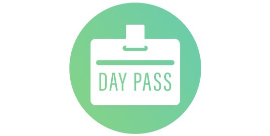 lambdatest days pass