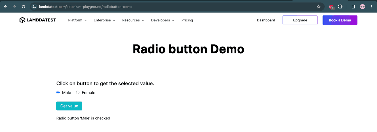 Radio button Demo page