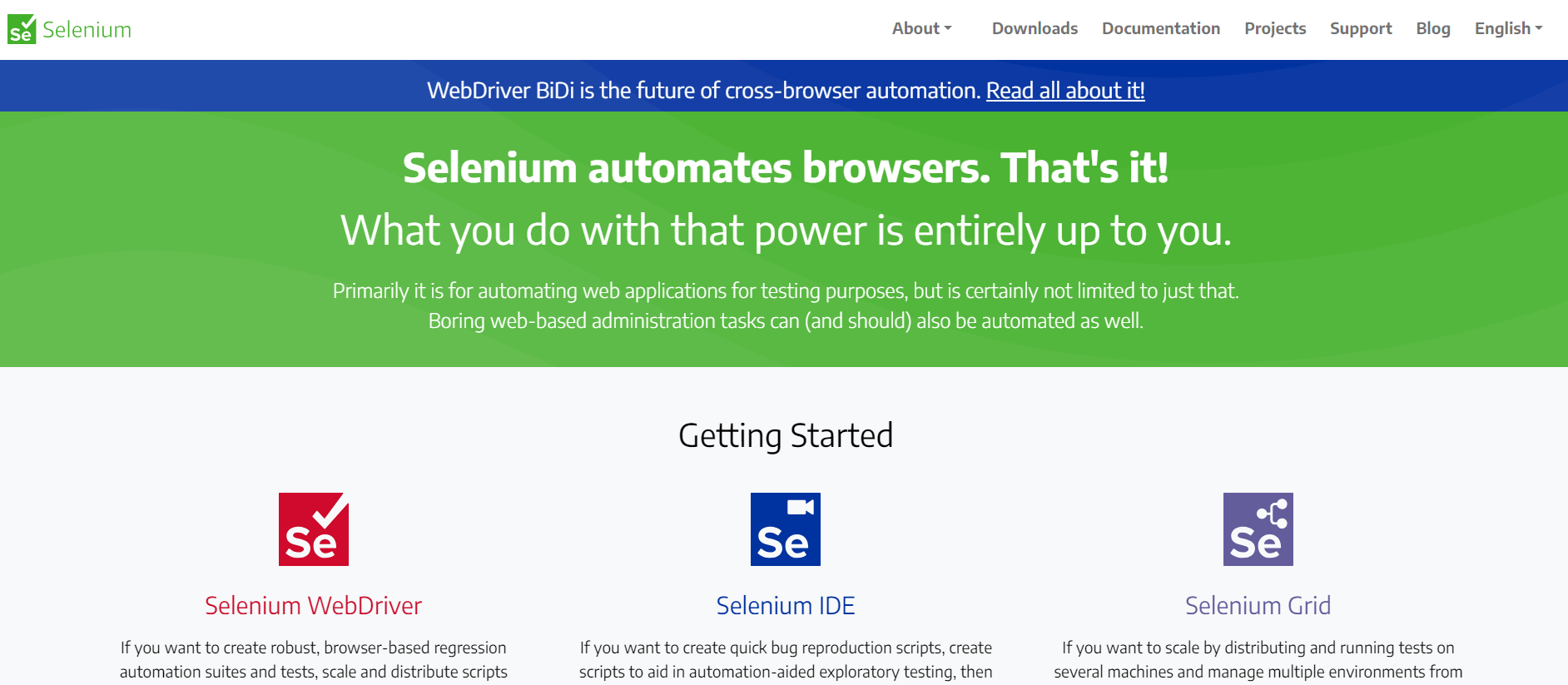 Selenium: A Javascript Testing Framework