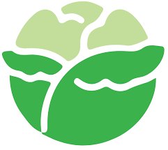 Lettuce Python Testing Framework 2020