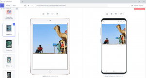 How To Make Responsive Images With CSS, HTML, WordPress & More!