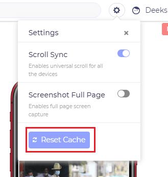 browser-reset-cache