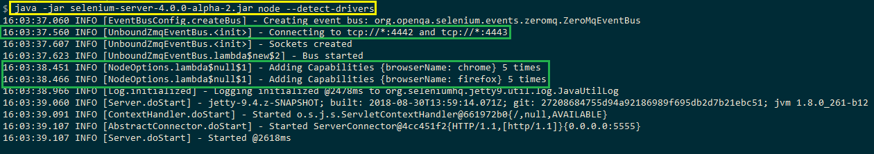 detecting the Selenium WebDrivers