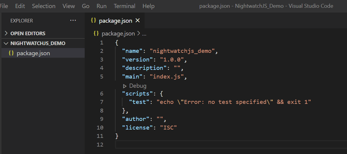 package json file
