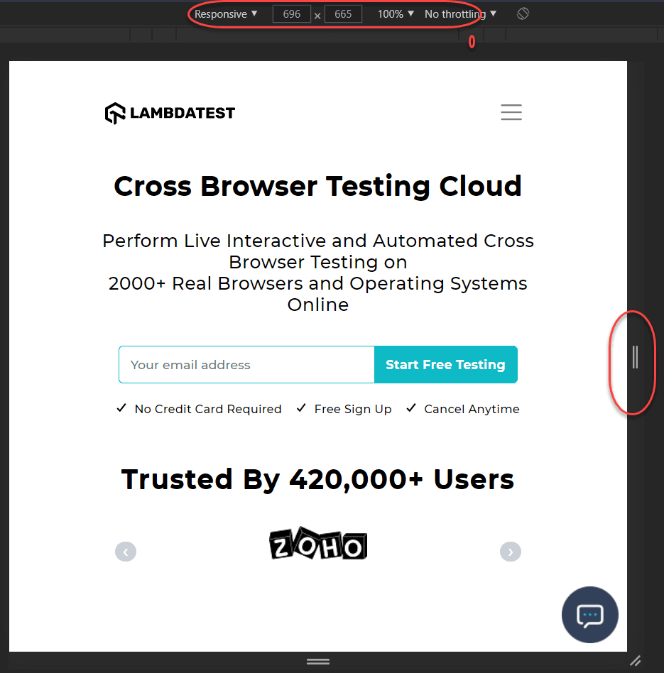 Browser Developer Tools