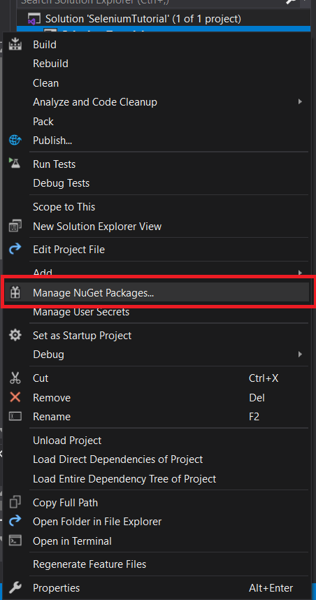 Project name in the Solution Explorer 
