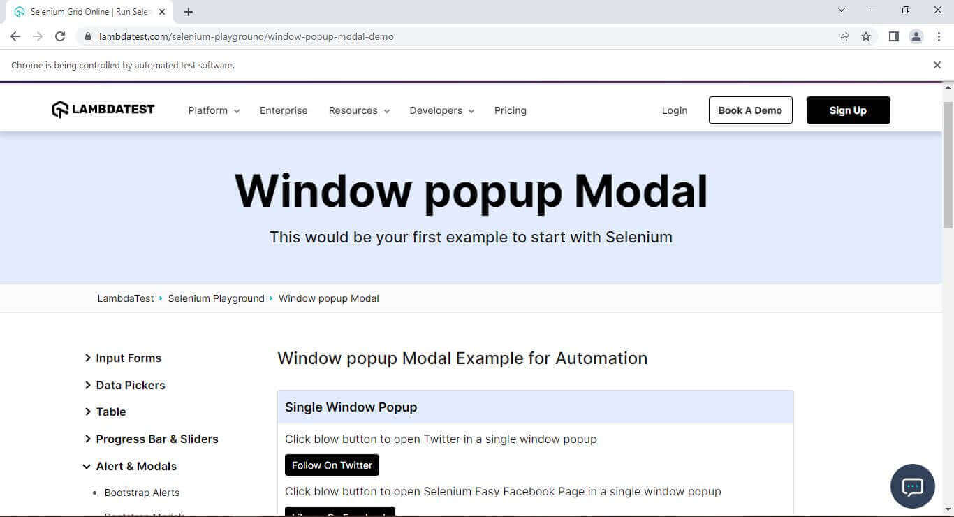 Window Popup Modal