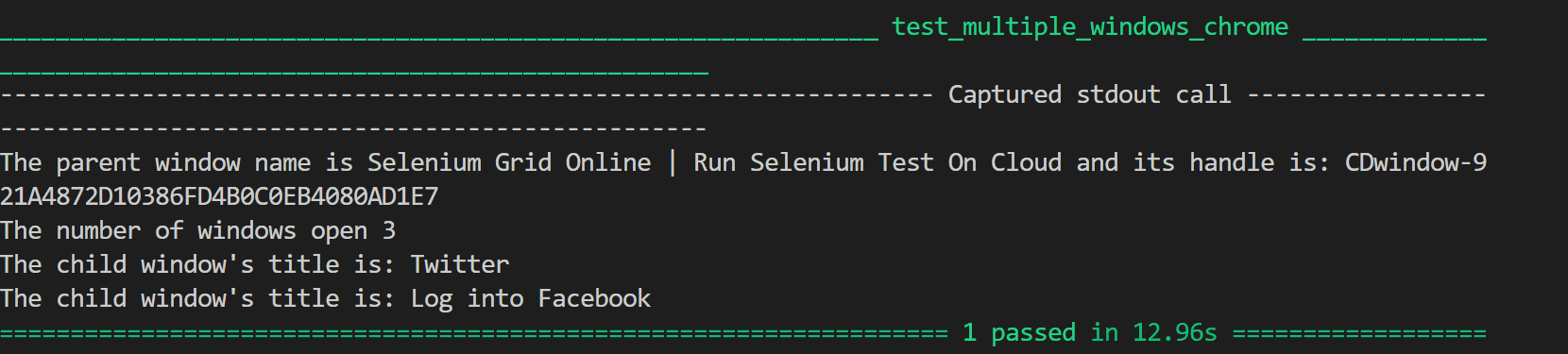 test runs successfully in the terminal