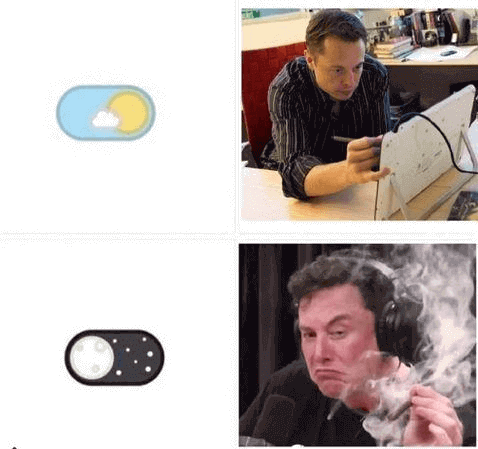 Elon musk meme