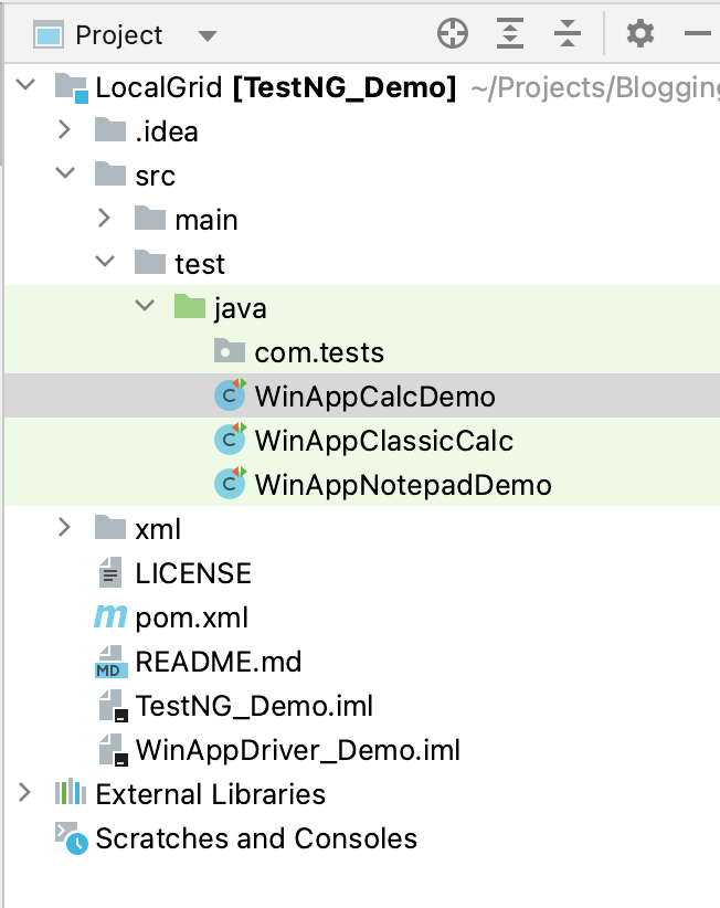 Project Setup Using WinAppDriver