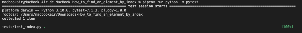 pipenv run python