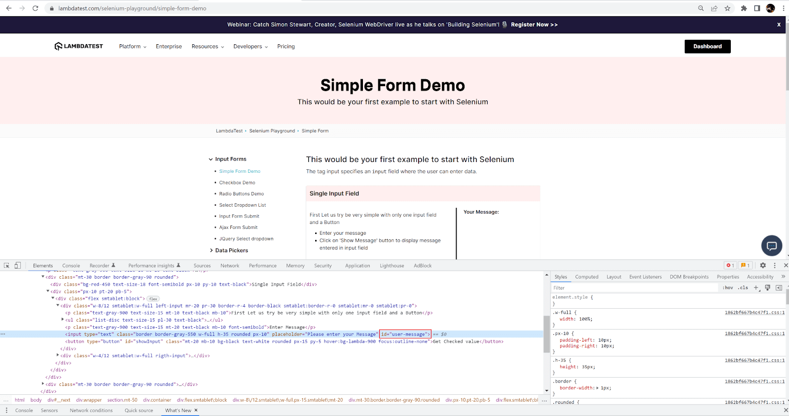 Simple Form Demo