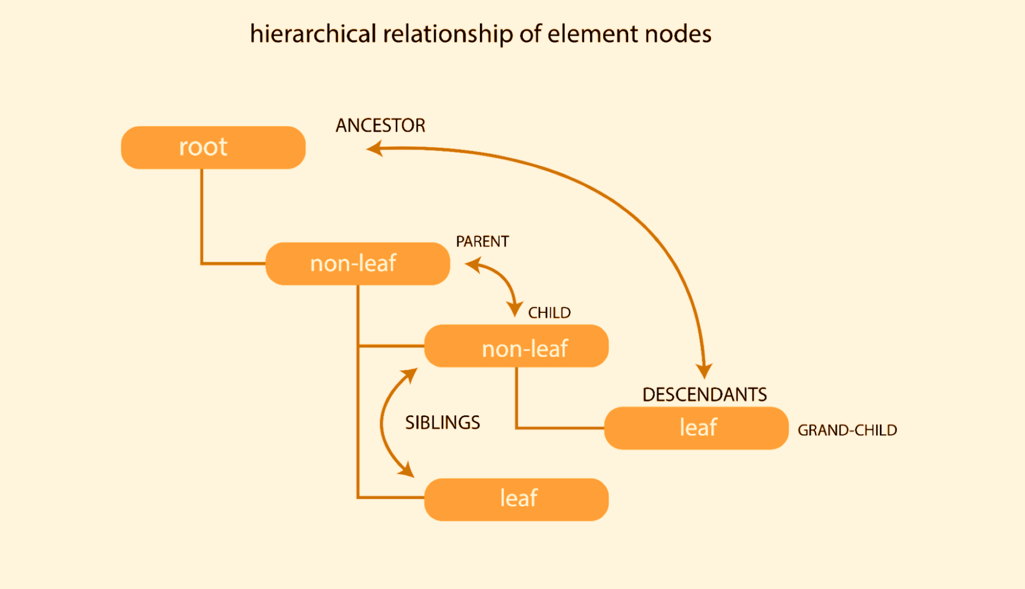 relationship of elements nodes