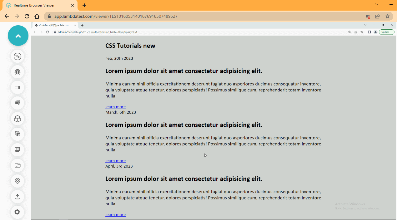 type selector css3 output
