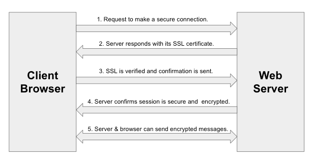SSL establishes