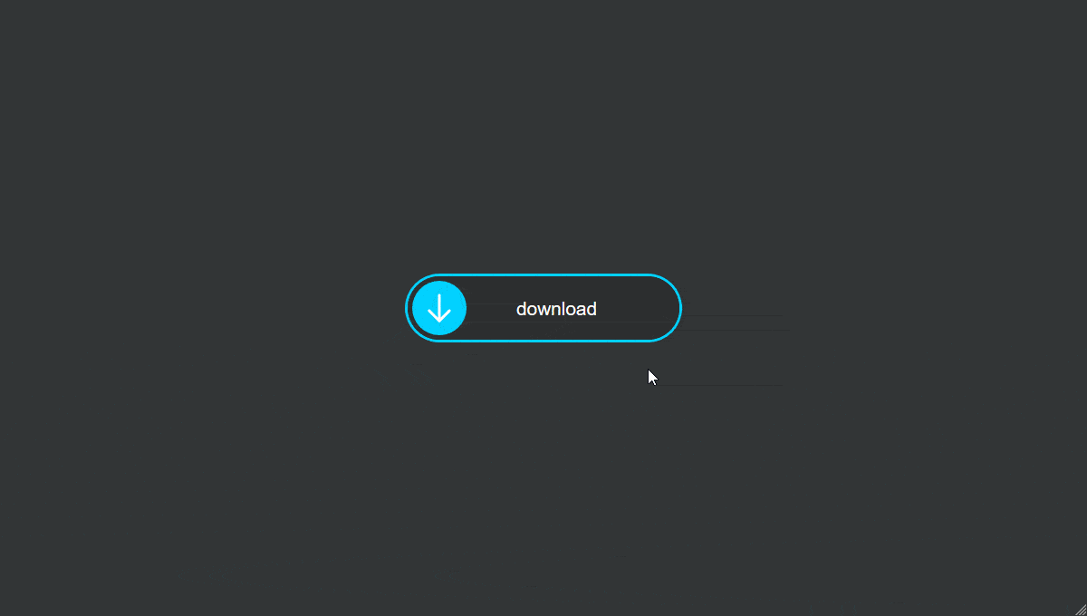 CSS Animation 