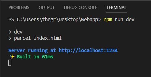 terminal npm run dev