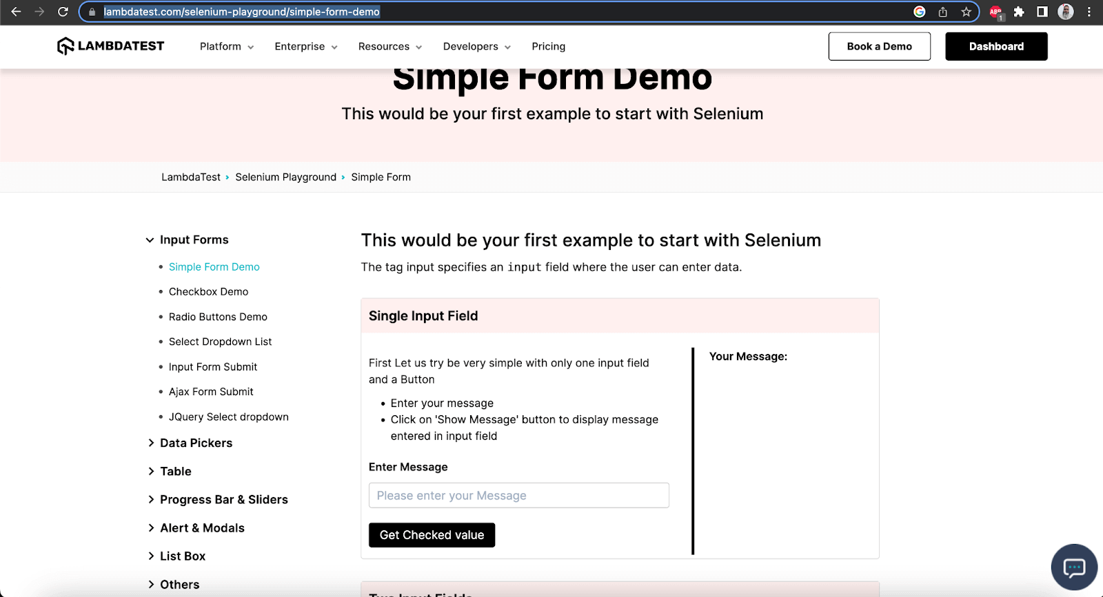 Single Input Field