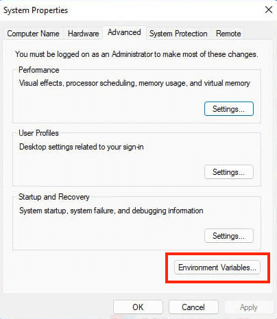 Environment Variables