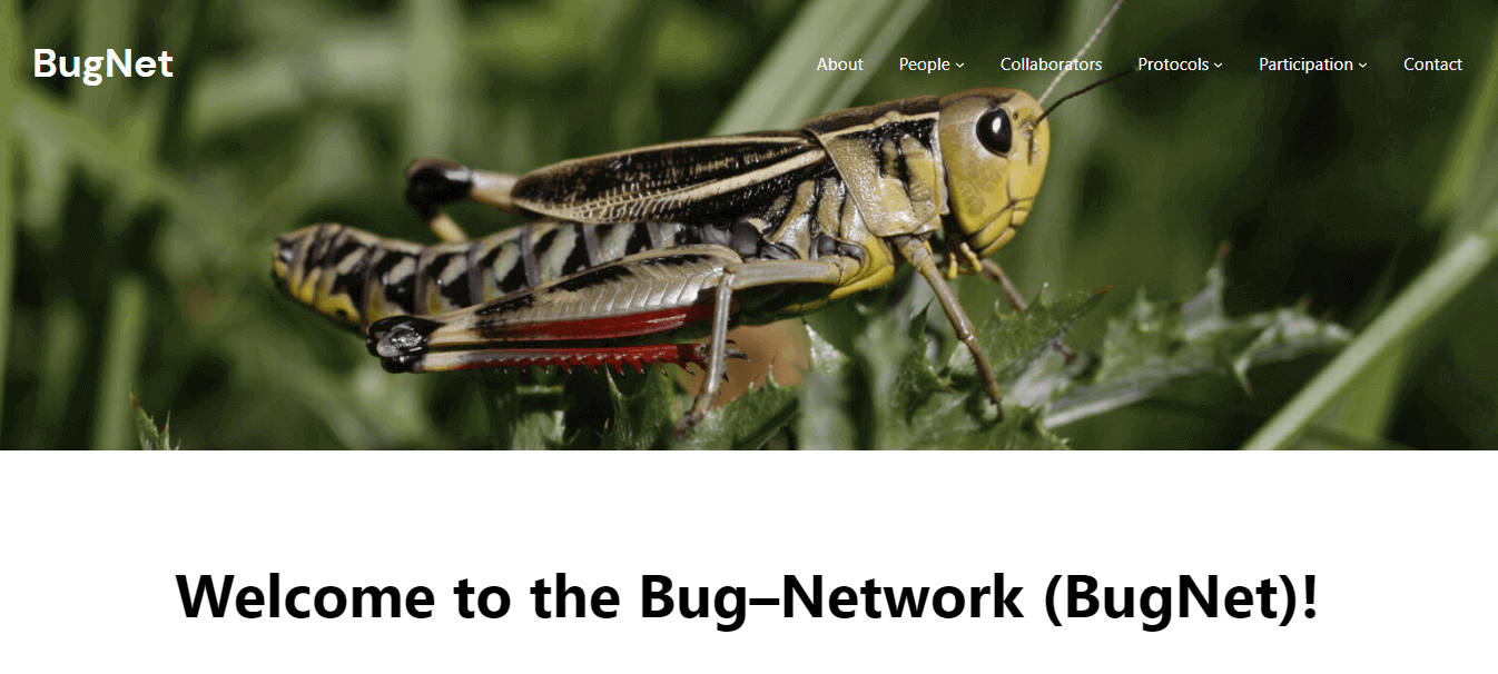 BugNet