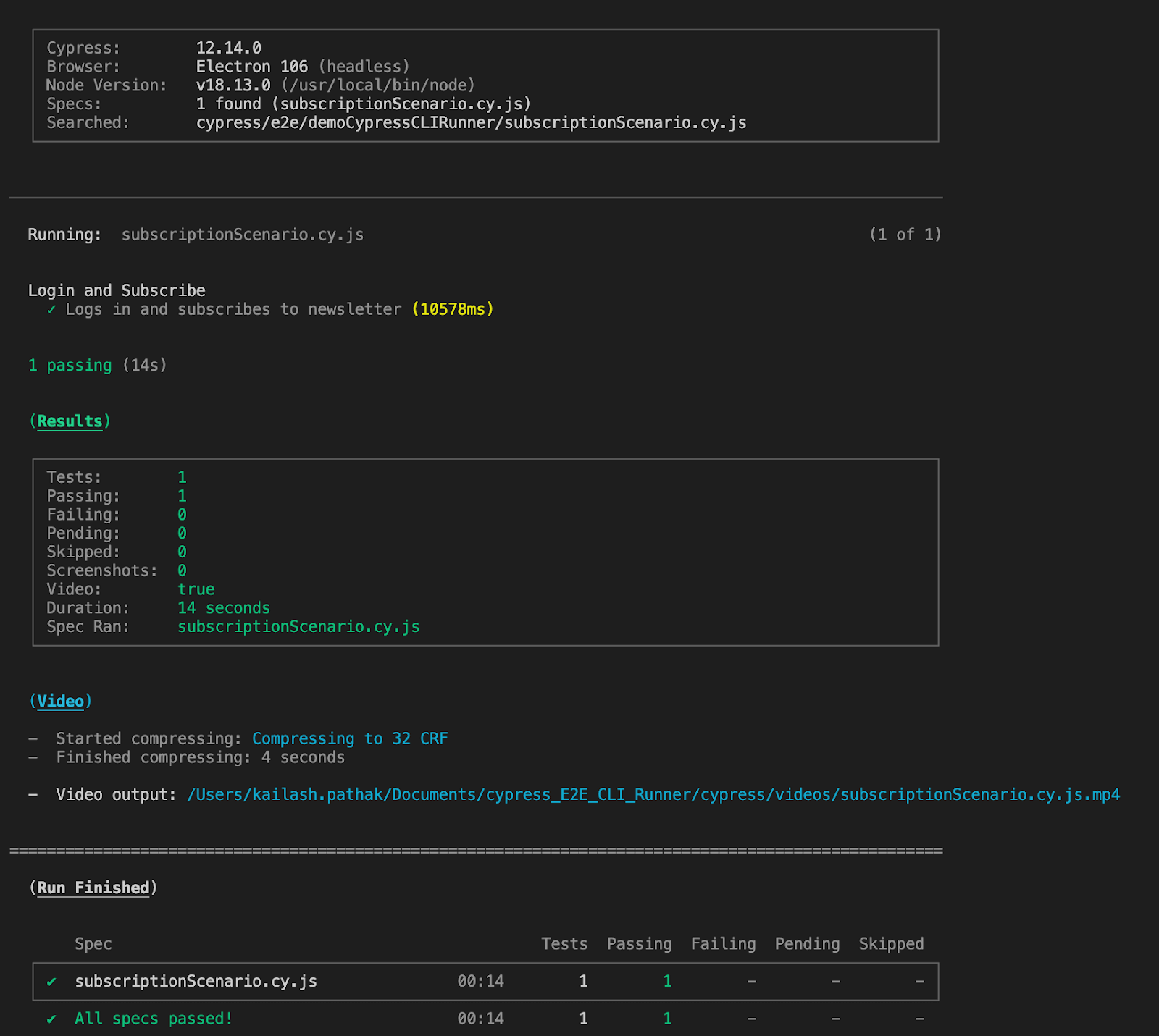 test case execution report