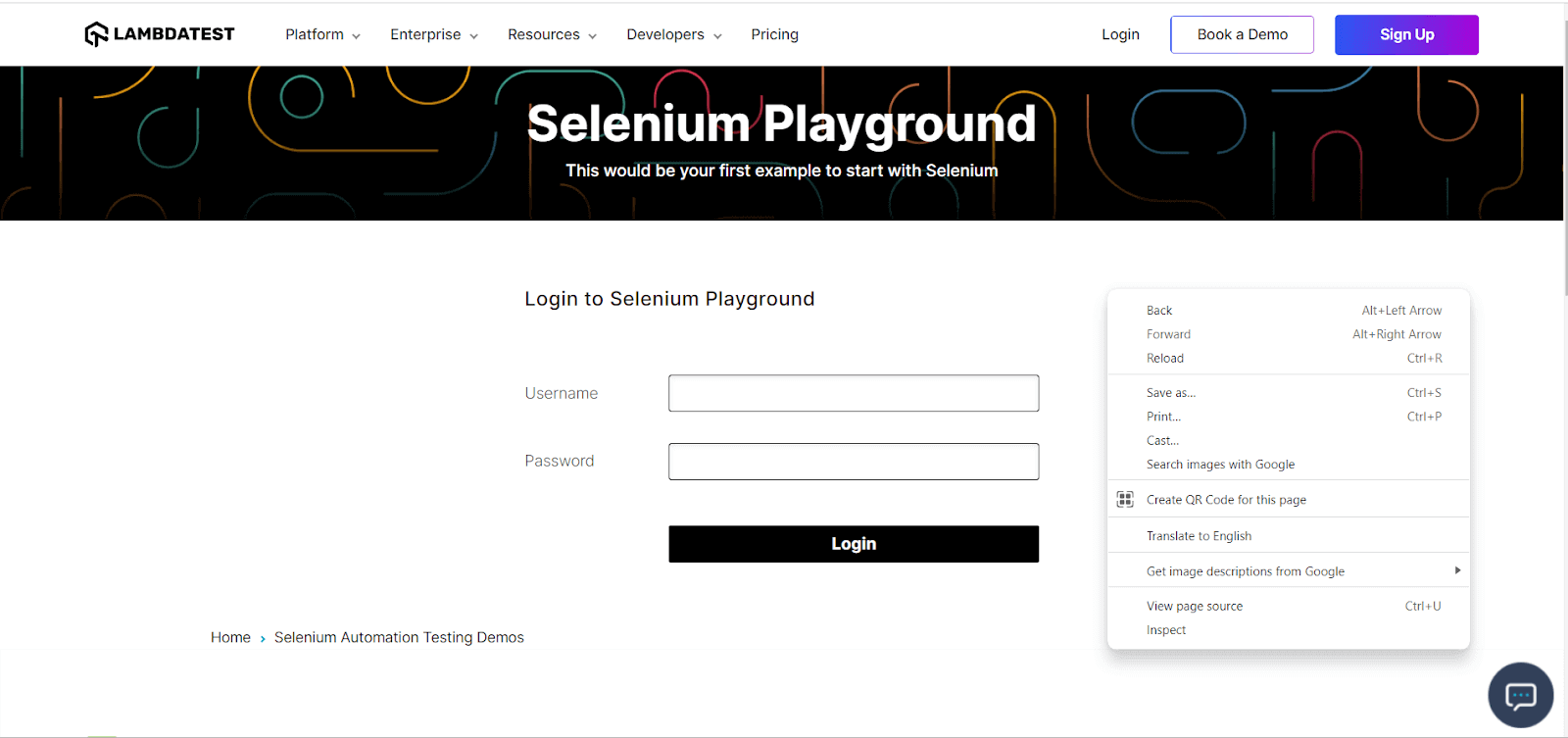 selenium playground 2