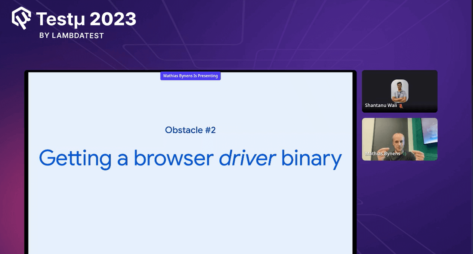 Getting a browser driver binary