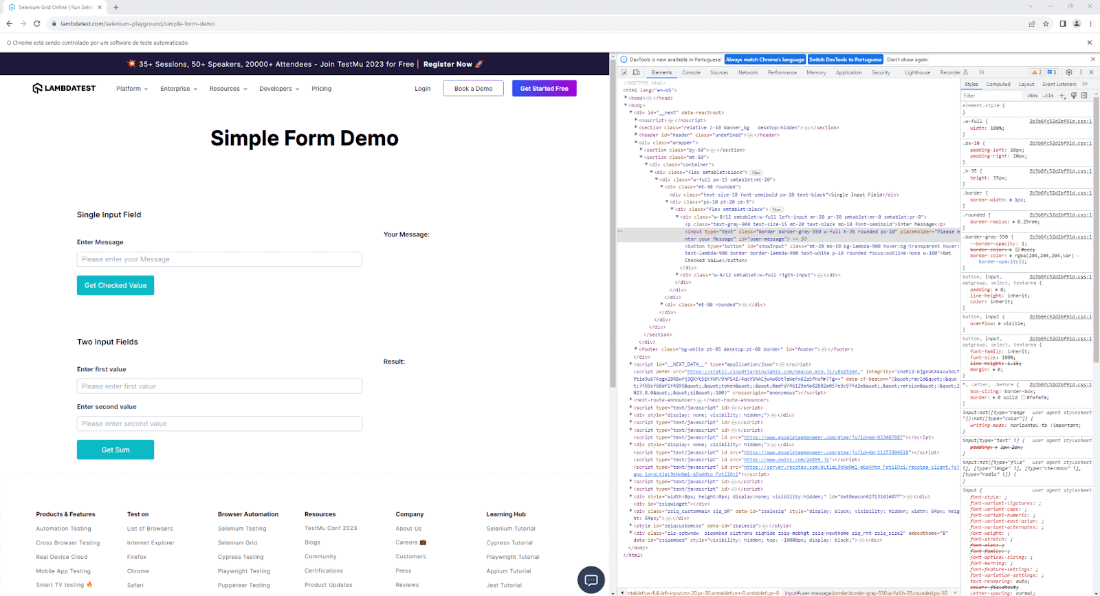 simple form demo