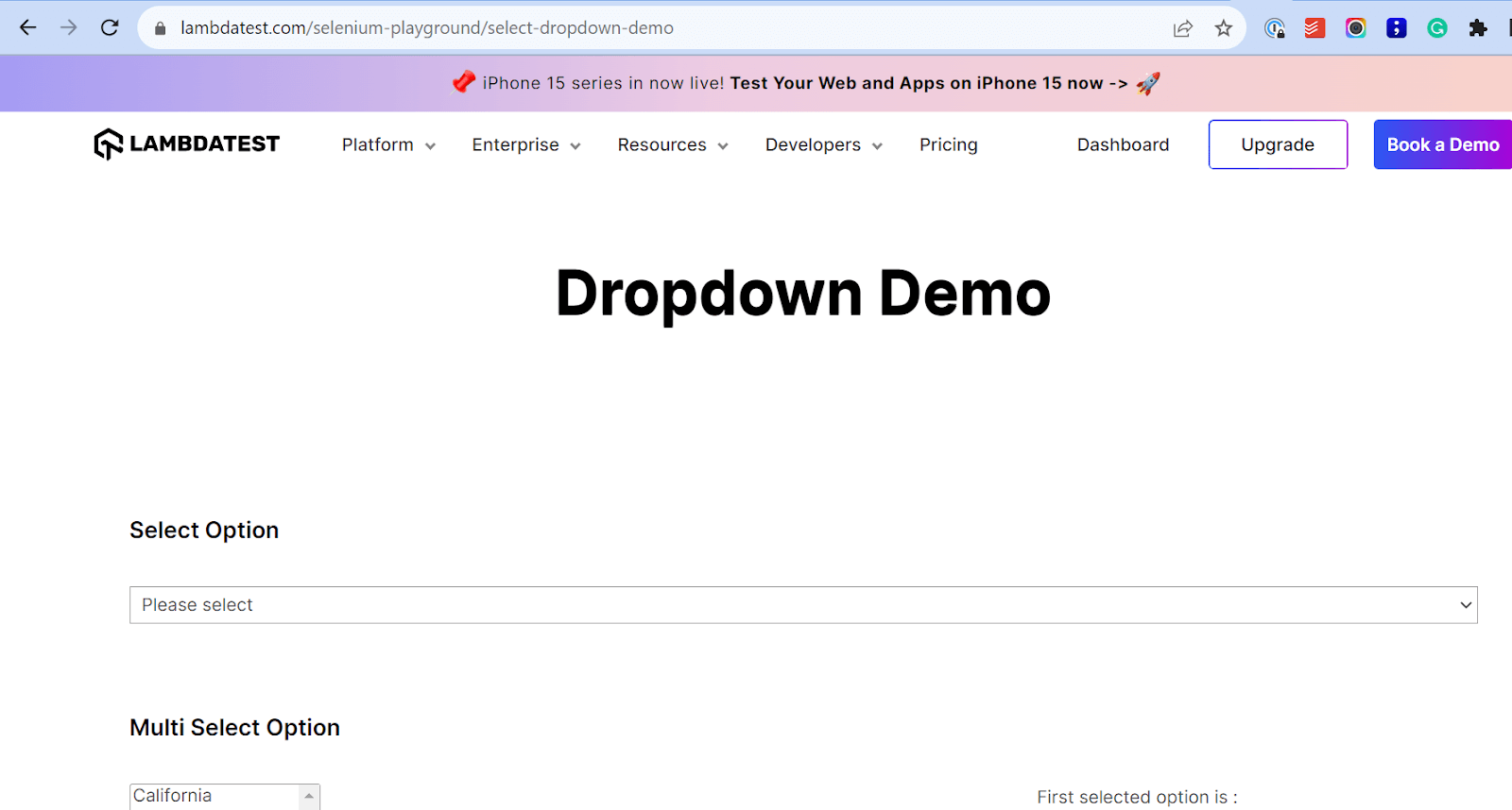 Dropdown demo site