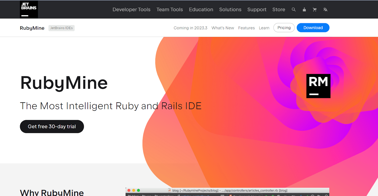 RubyMine