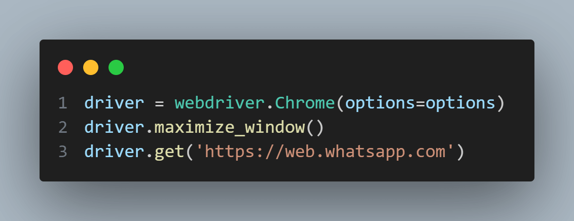 Chrome WebDriver is instantiated