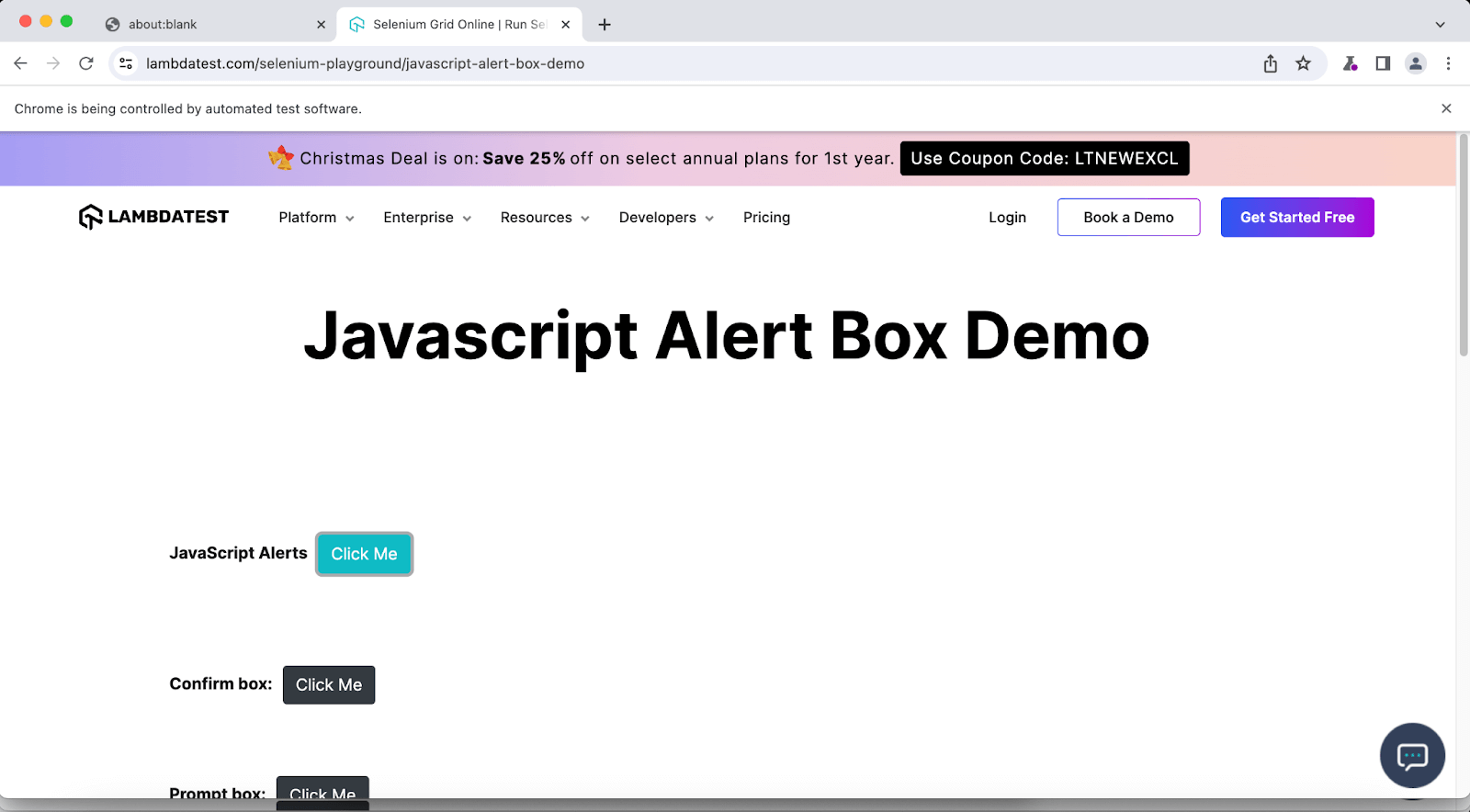 Javascript alert demo box
