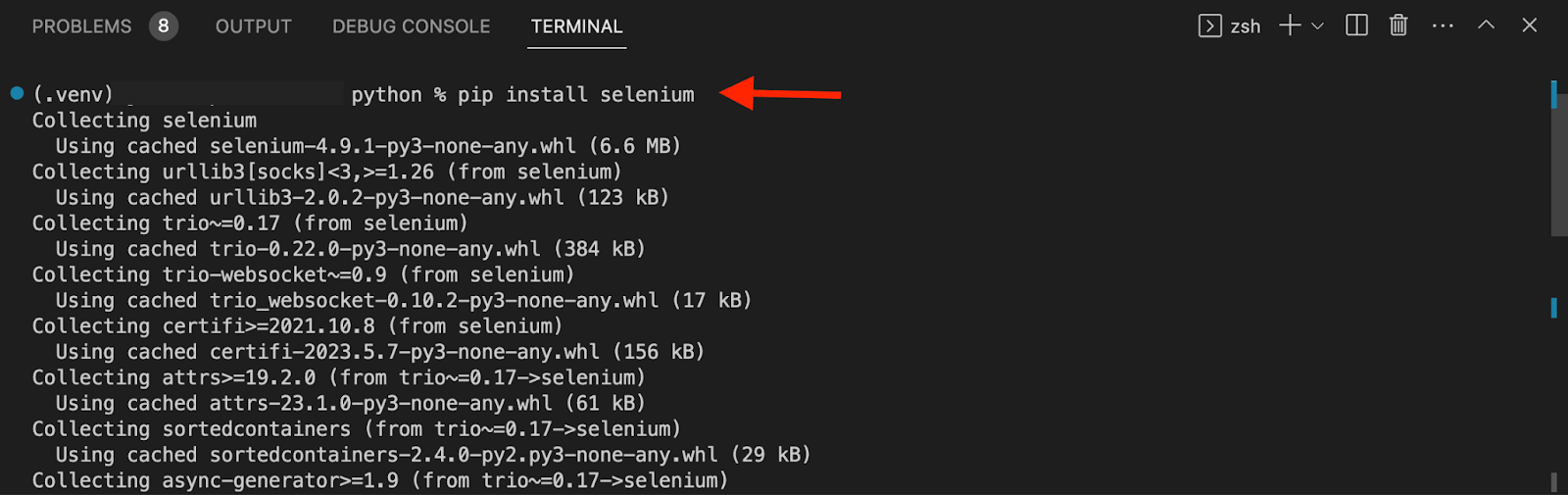install Selenium in vs code