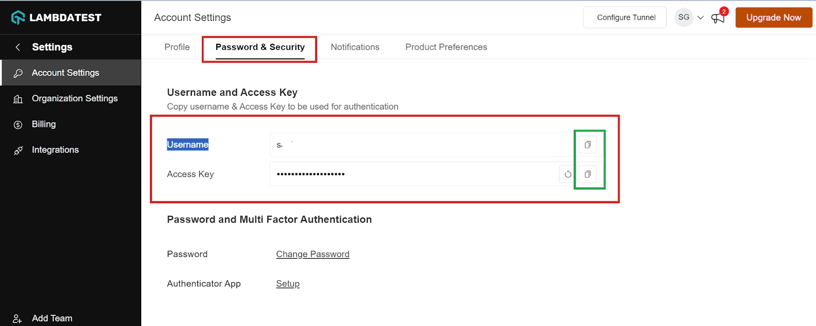 Screenshot of the Password & Security tab showing the Username and Access Key fields