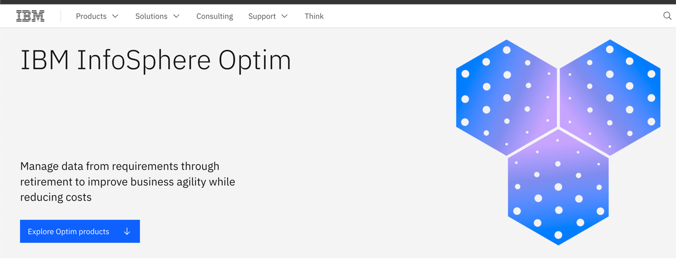 IBM InfoSphere Optim