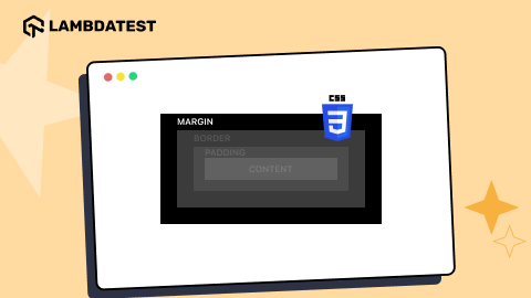 CSS Margins: All You Need to Know