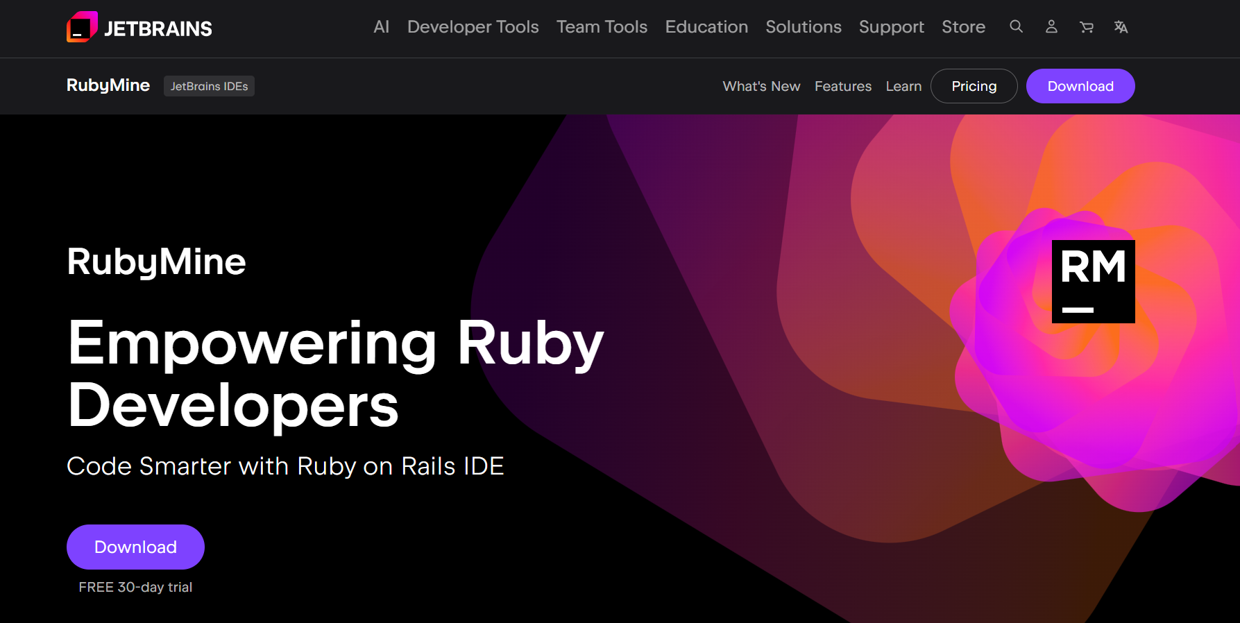 RubyMine