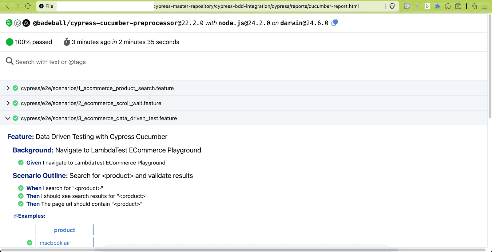 Cucumber Report Result