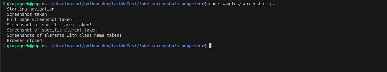 Puppteer screenshot local Puppteer screenshot local