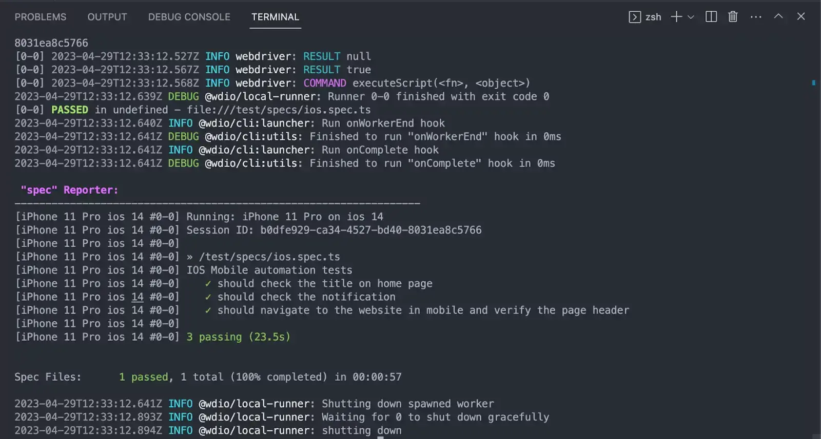 Screenshot of the tests run locally using npm