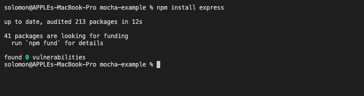 NodeJS Unit Testing npm install express