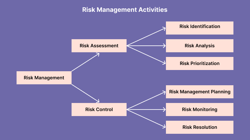 Software risk management