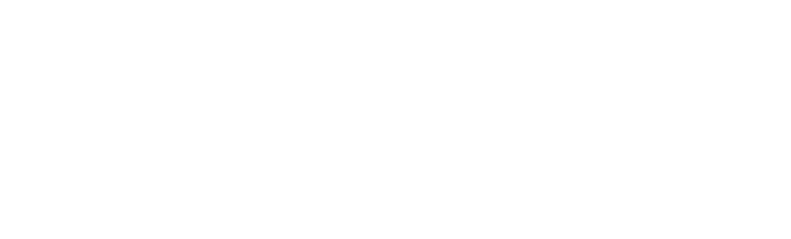Dassault Systemes