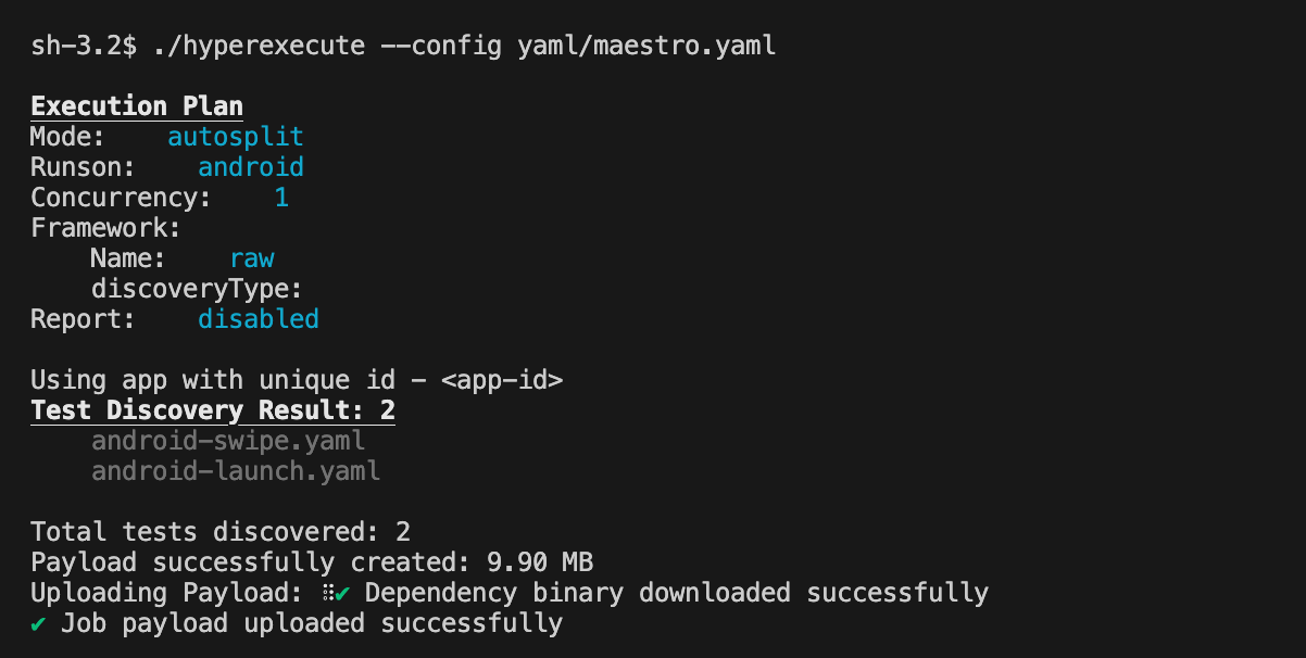 JUnit HyperExecute Terminal Logs