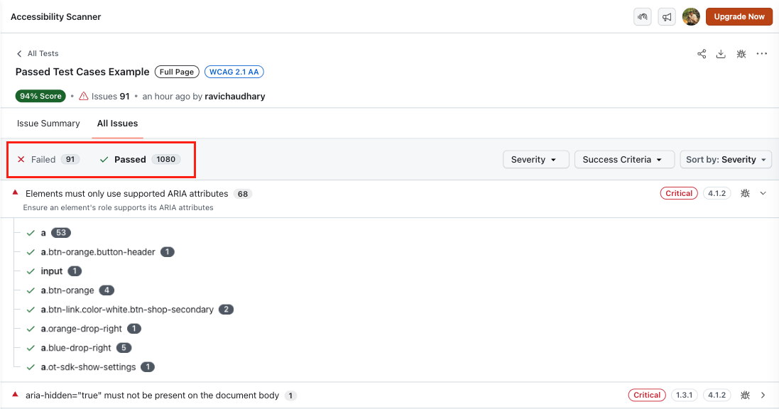 Accessibility Passed Test Cases Example