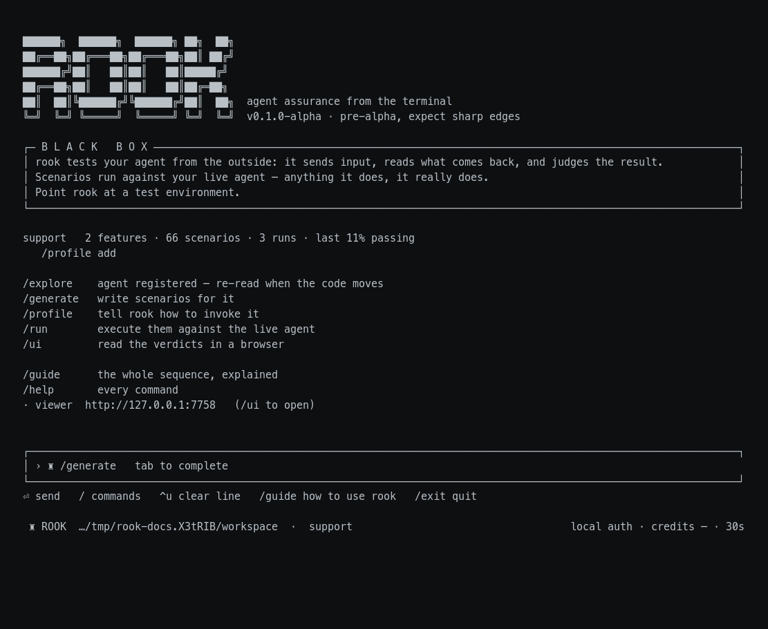 Rook terminal home showing the autonomous agent testing workflow