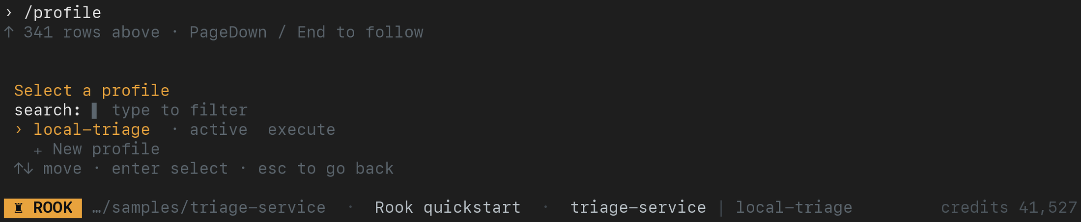 Rook interactive profile picker showing the active local-triage profile with its execute hook, plus New profile